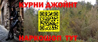 прущие грибы Малгобек